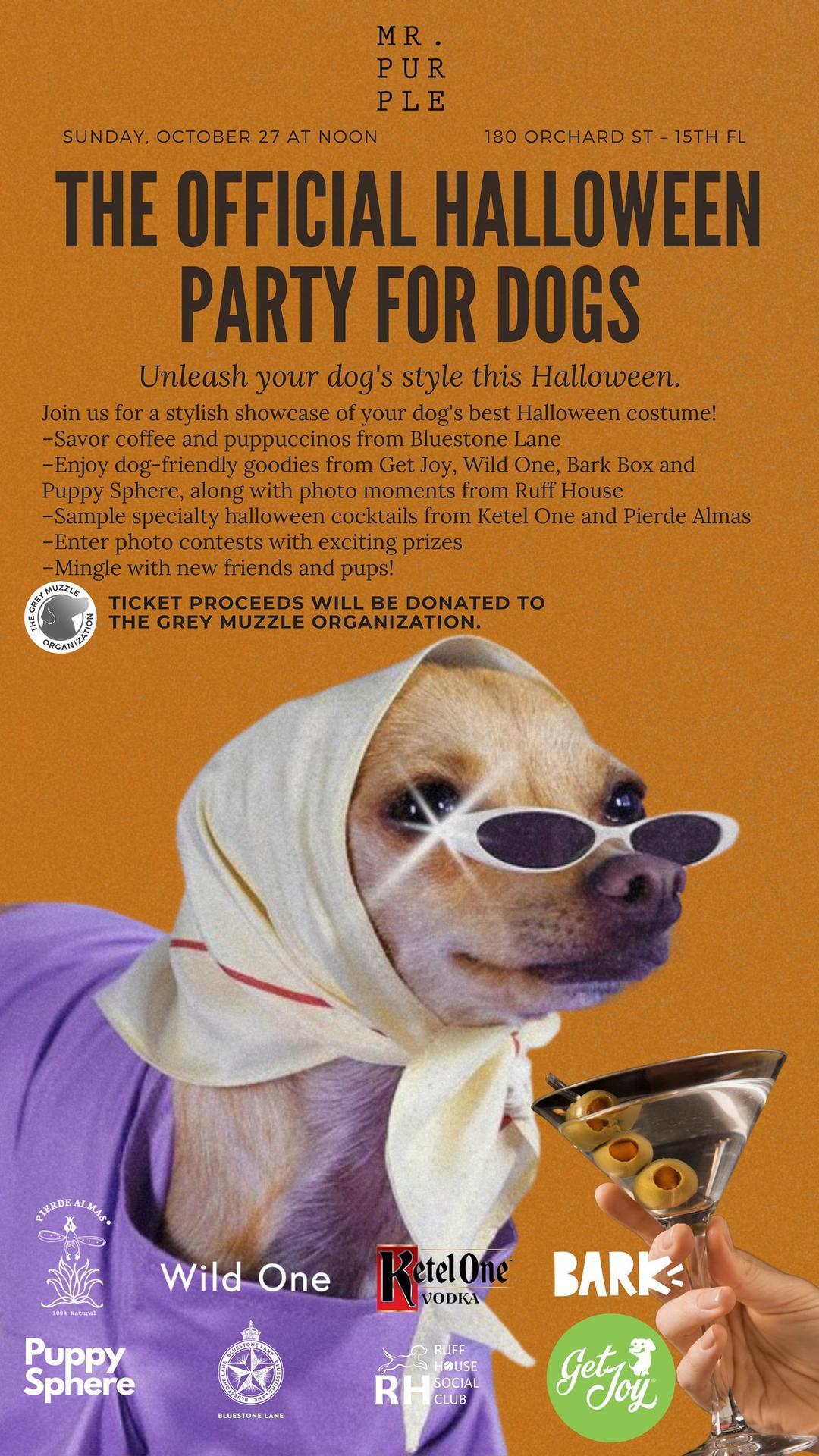 Halloween Dog Costume Gala flyer hero image hosted by Mr. Purple at Mr. Purple starting at 2024-10-27T12:00:00.000Z