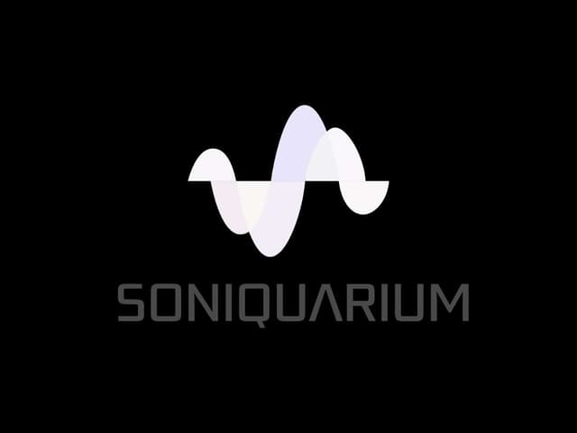 Organization profile image for Soniquarium