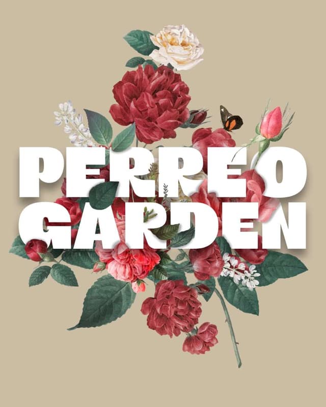 Organization profile image for PERREO PARRTY