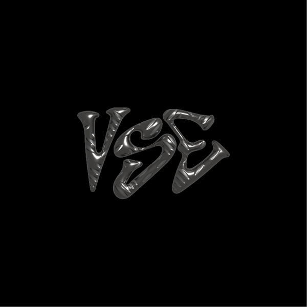 Organization profile image for VSE Presents