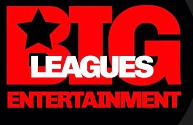 Organization profile image for BIG LEAGUES