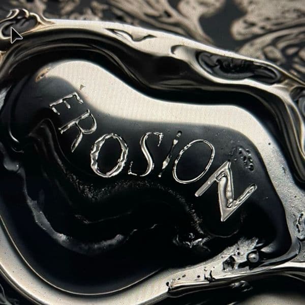 Organization profile image for Erosion