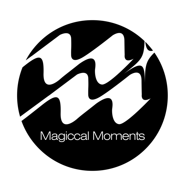 Organization profile image for Magiccal Moments